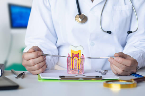 Best Emergency Dental Services for Seniors in Jefferson, LA